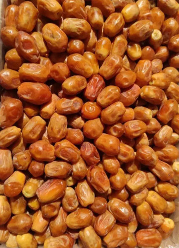 زاهدی خوش طعم