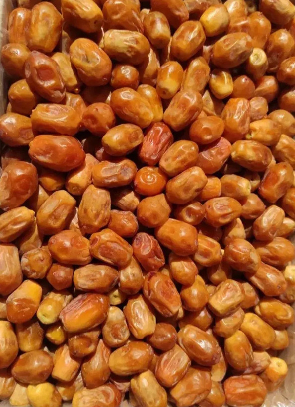 زاهدی خوش طعم